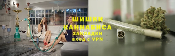 гашик Белокуриха