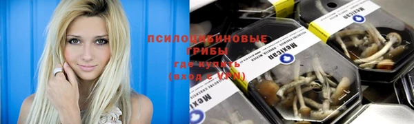 гашик Белокуриха