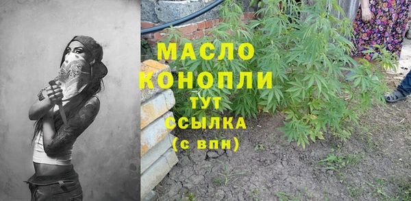 гашик Белокуриха