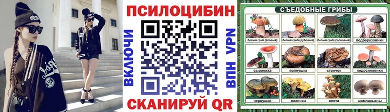 Купить где  Белозерск  Галлюциногенные грибы Magic Shrooms 